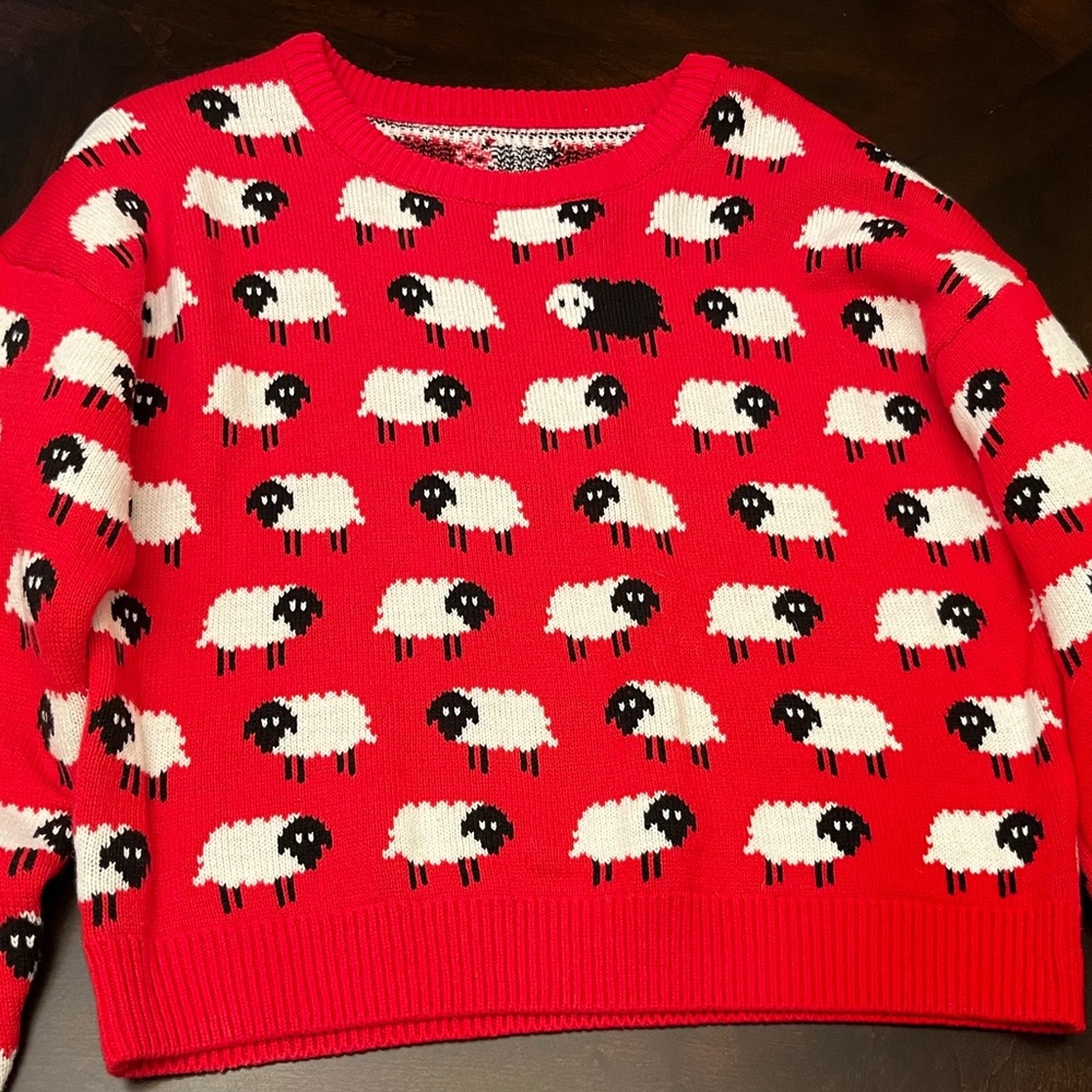 Francesca’s Black Sheep Sweater